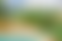 Описание изображения