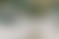 Описание изображения