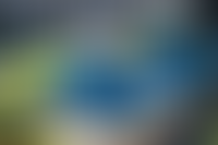 Описание изображения