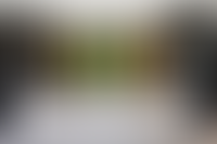 Описание изображения