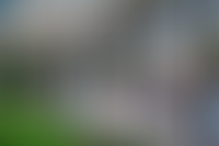 Описание изображения