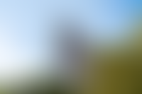 Описание изображения