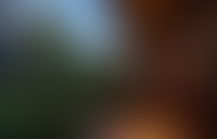 Описание изображения