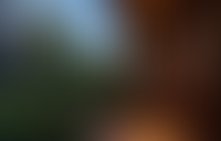 Описание изображения