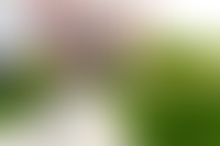 Описание изображения