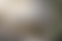 Описание изображения