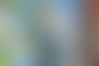 Описание изображения