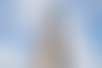 Описание изображения