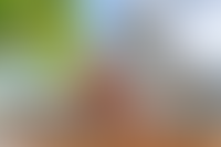 Описание изображения