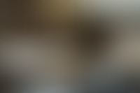 Описание изображения