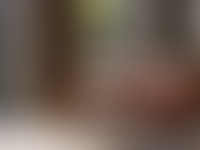 Описание изображения