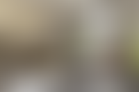 Описание изображения