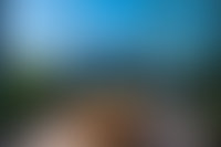 Описание изображения