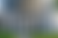 Описание изображения