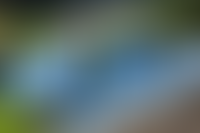 Описание изображения