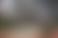 Описание изображения