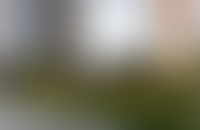 Описание изображения