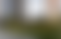 Описание изображения