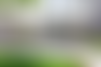 Описание изображения