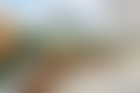 Описание изображения