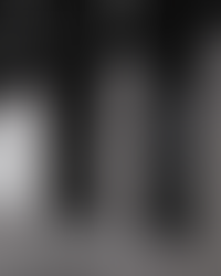 Описание изображения