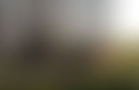 Описание изображения