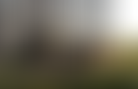 Описание изображения