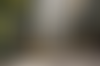 Описание изображения