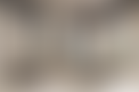 Описание изображения