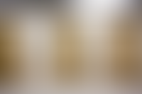 Описание изображения