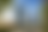 Описание изображения