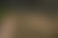 Описание изображения