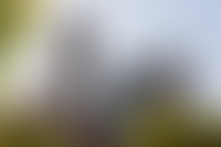 Описание изображения