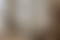 Описание изображения