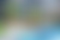 Описание изображения