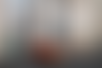 Описание изображения