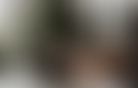 Описание изображения