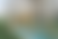 Описание изображения