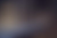 Описание изображения