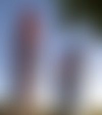 Описание изображения