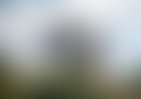 Описание изображения