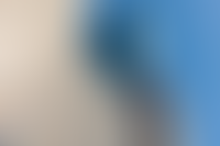 Описание изображения