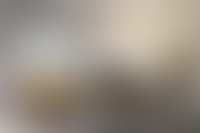 Описание изображения