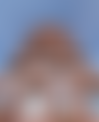 Описание изображения