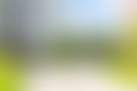 Описание изображения