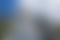 Описание изображения