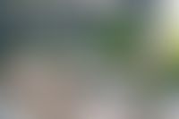 Описание изображения