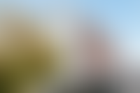 Описание изображения