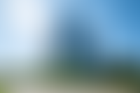 Описание изображения