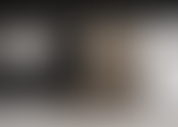 Описание изображения